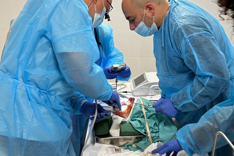 Course Avancée en Chirurgie Reconstructive Osseuse - Dr Guillermo Escobar