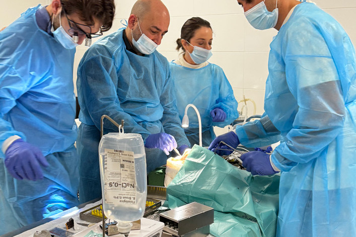 Course Avancée en Chirurgie Reconstructive Osseuse - Dr Guillermo Escobar et étudiants