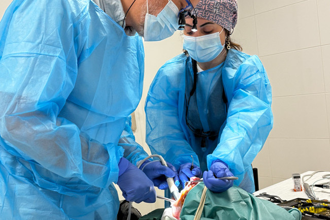 Course Avancée en Chirurgie Reconstructive Osseuse - Dr Guillermo Escobar